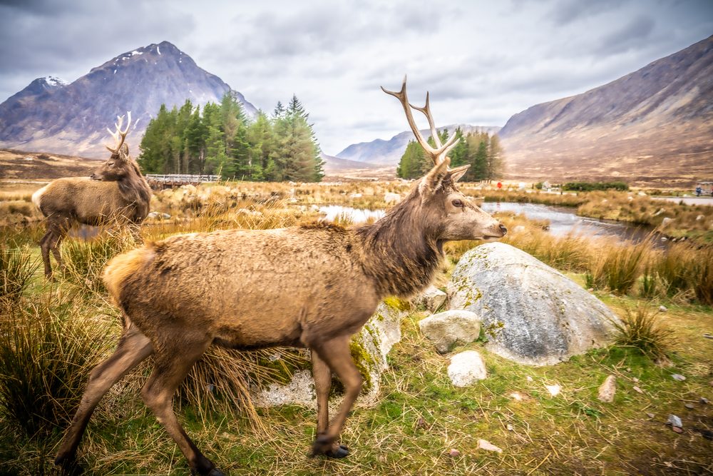 Photography by Richard Betson